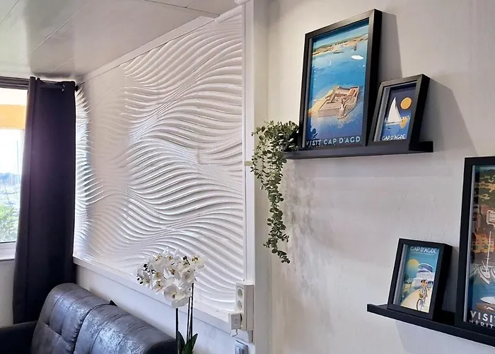 Vue Port Avec Parking Privé Agde