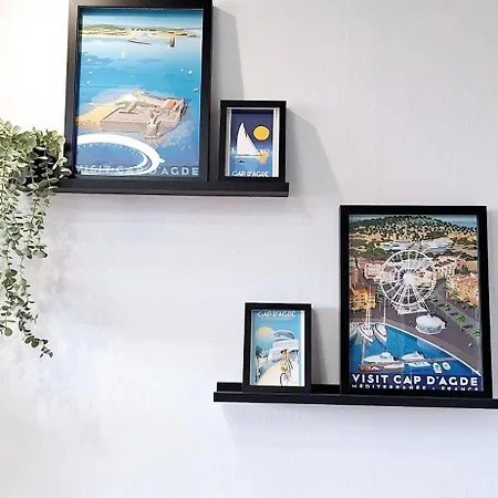 Vue Port Avec Parking Prive Agde