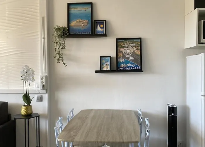 Vue Port Avec Parking Prive Agde