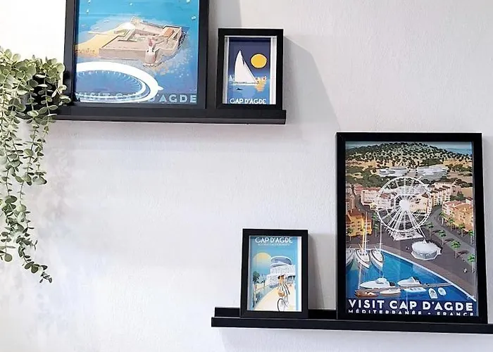 Vue Port Avec Parking Prive Agde